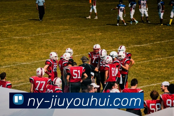 九游会J9官网发展历程